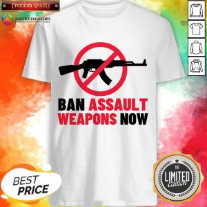Ban Assault Weapons Now Gun Shirt