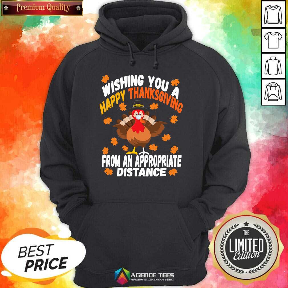 wishing-you-a-happy-thanksgiving-from-an-appropriate-distance-turkey-social-distancing-hoodie.jpg