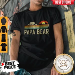 Nice Papa Bear Fathers Day Shirt