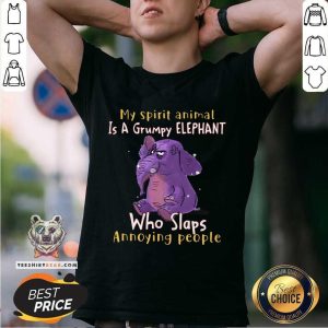 Cute My Spirit Animal Is A Grumpy Elephant Shirt