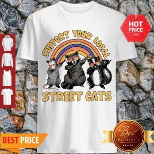 Nice Dabbing Raccoon Support Your Local Street Cats Shirt