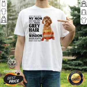 Cute Do Not Mess With My Mom She Has Wisdom Vizsla Shirt