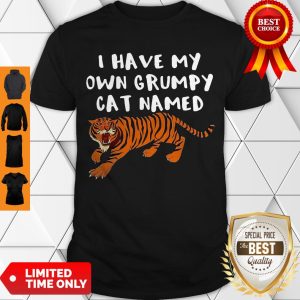 Cute I Have My Own Grumpy Cat Named Tiger Shirt