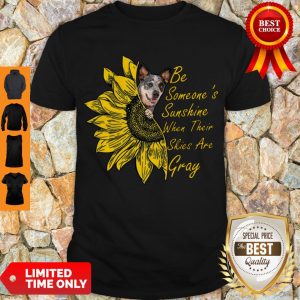 Pretty Sunflowers Teddy Roosevelt Terrier Be Someone’s Sunshine When Their Shirt