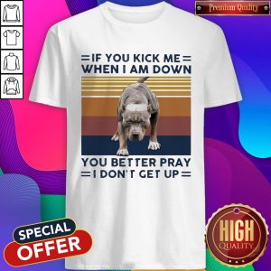 Pitbull If You Kick Me When I Am Down You Better Pray I Don’t Get Up Vintage Shirt