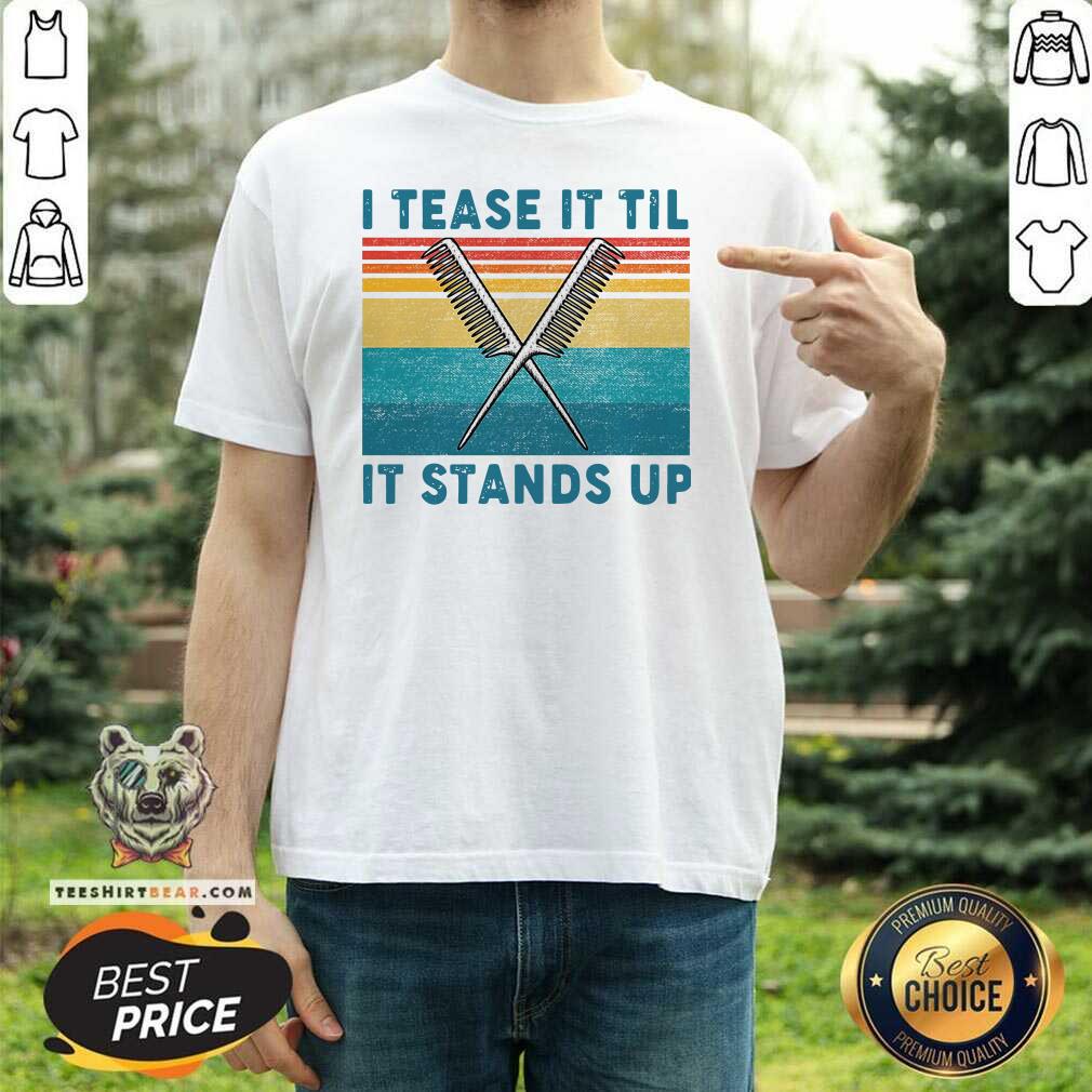 Awesome I Tease It Til It Stands Up Shirt