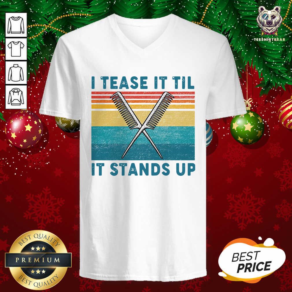 Awesome I Tease It Til It Stands Up Shirt