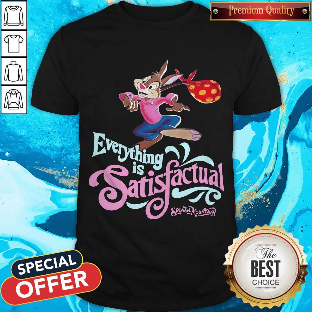 Best Everything Is Satisfactual Splash Mountain Shirt