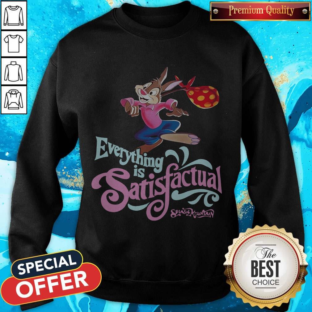 Best Everything Is Satisfactual Splash Mountain Shirt