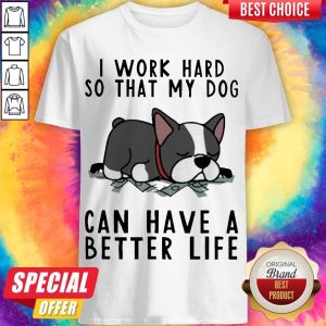 Nice Pug Dog I Work Hard So That My Dog Can Have A Better Life Shirt