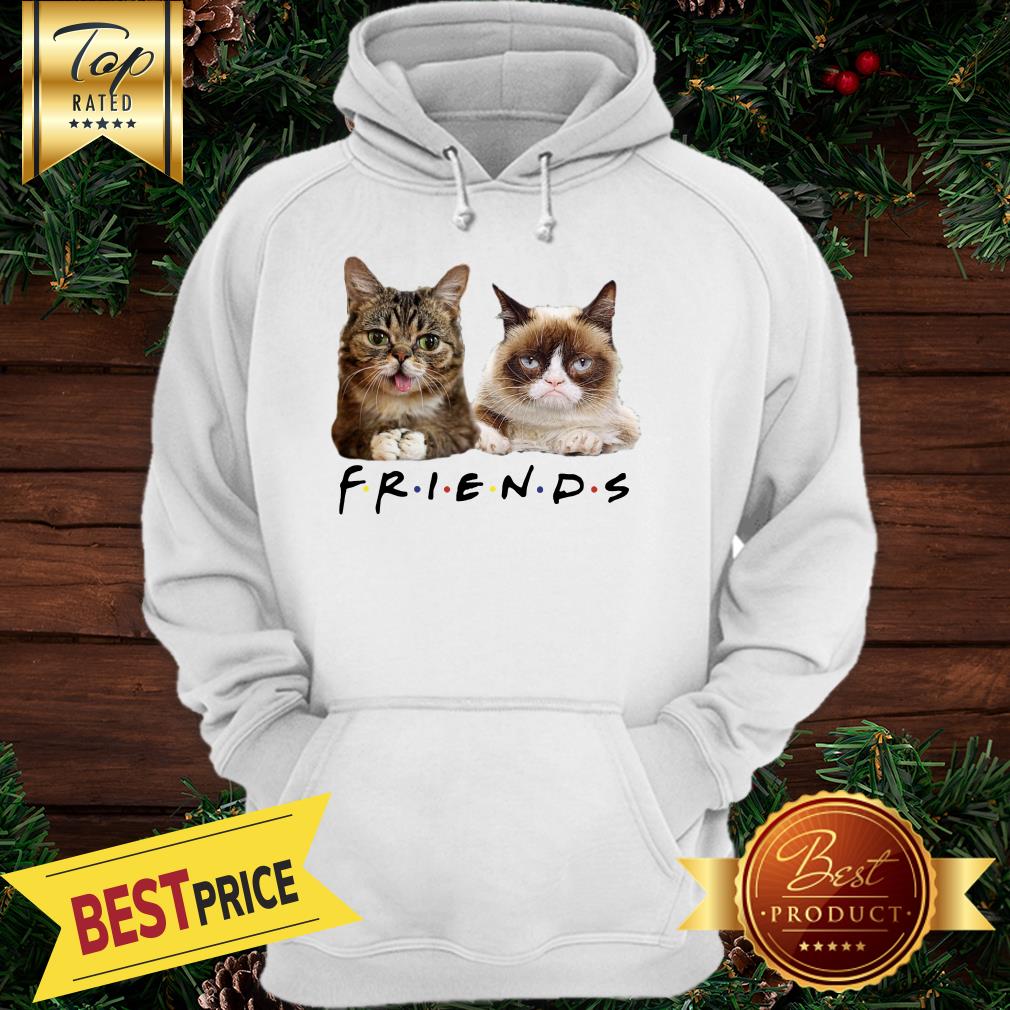 Cats Friends Bub Grumpy Shirt