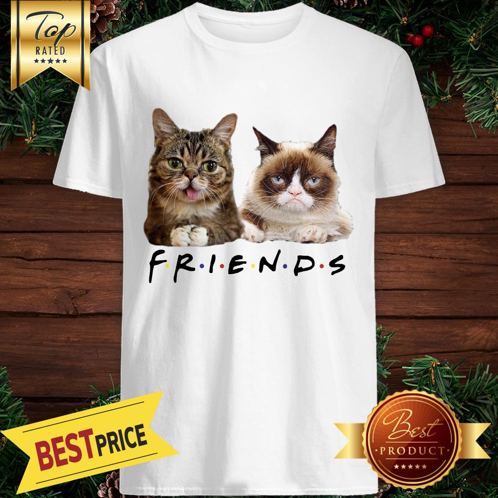 Cats Friends Bub Grumpy Shirt