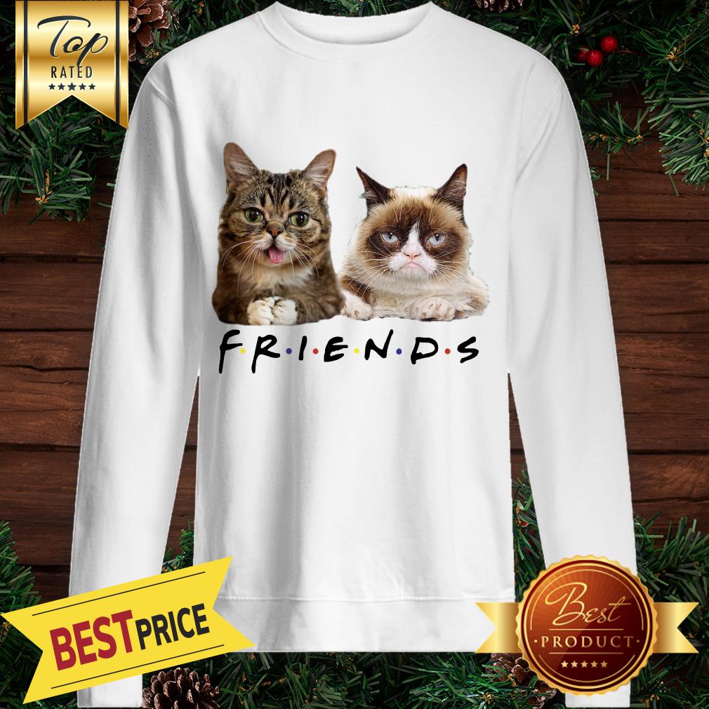 Cats Friends Bub Grumpy Shirt
