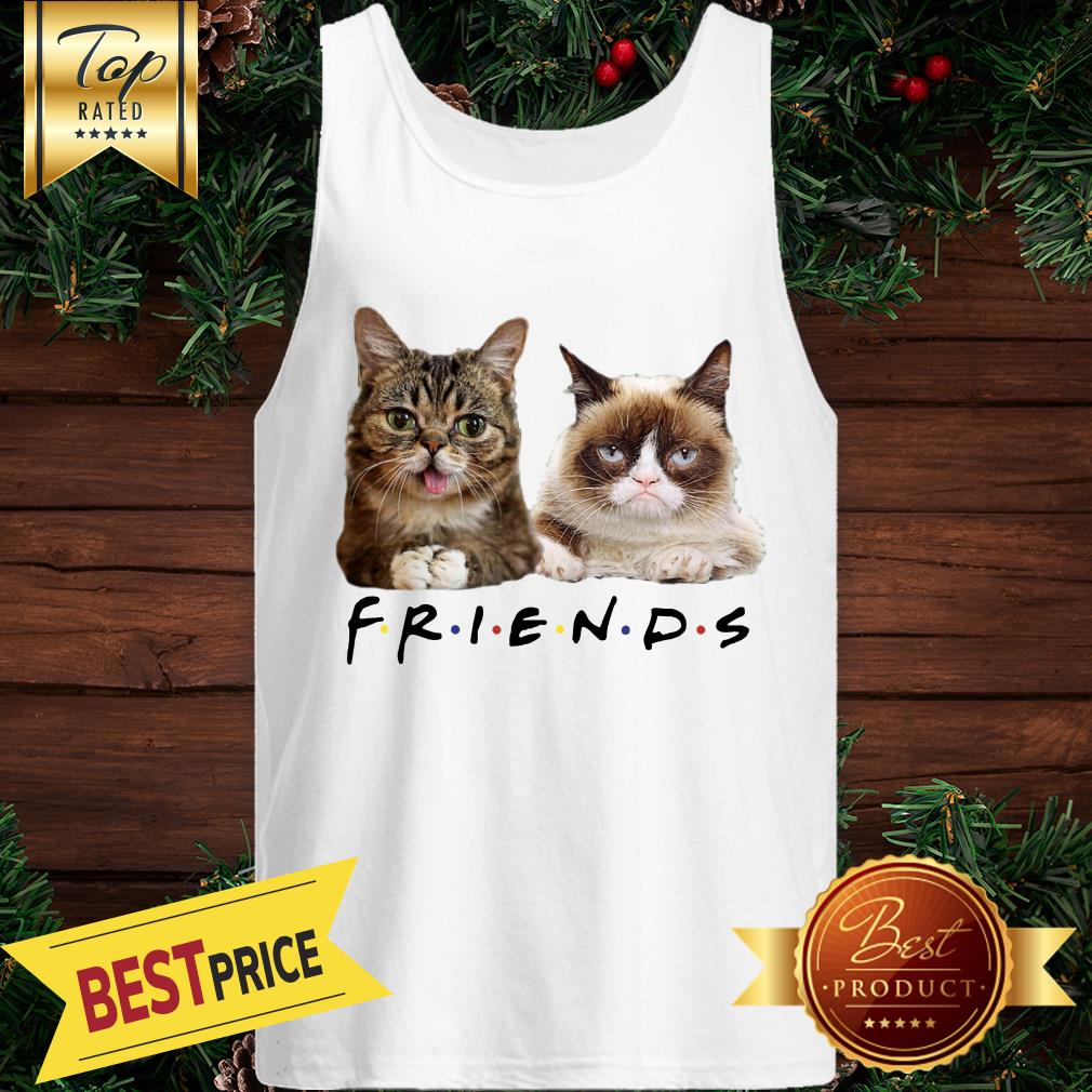 Cats Friends Bub Grumpy Shirt