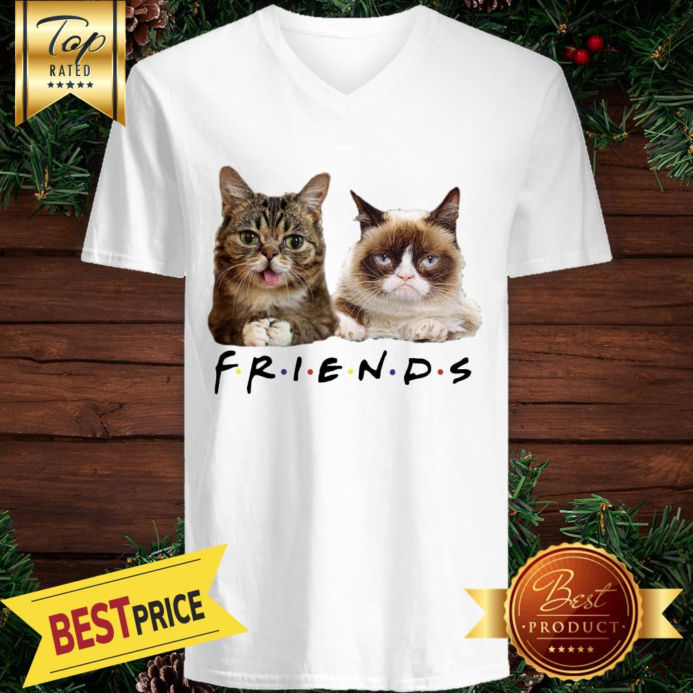 Cats Friends Bub Grumpy Shirt