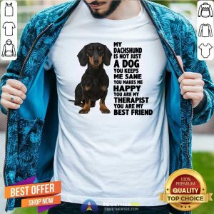 Lovely My Dachshund You Are My Therapist My Best Friends Shirt