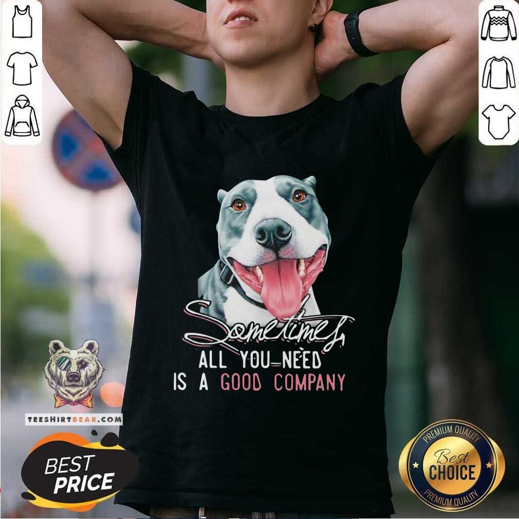 Funny Dog Sometimes All You Need Is A Good Company Shirt