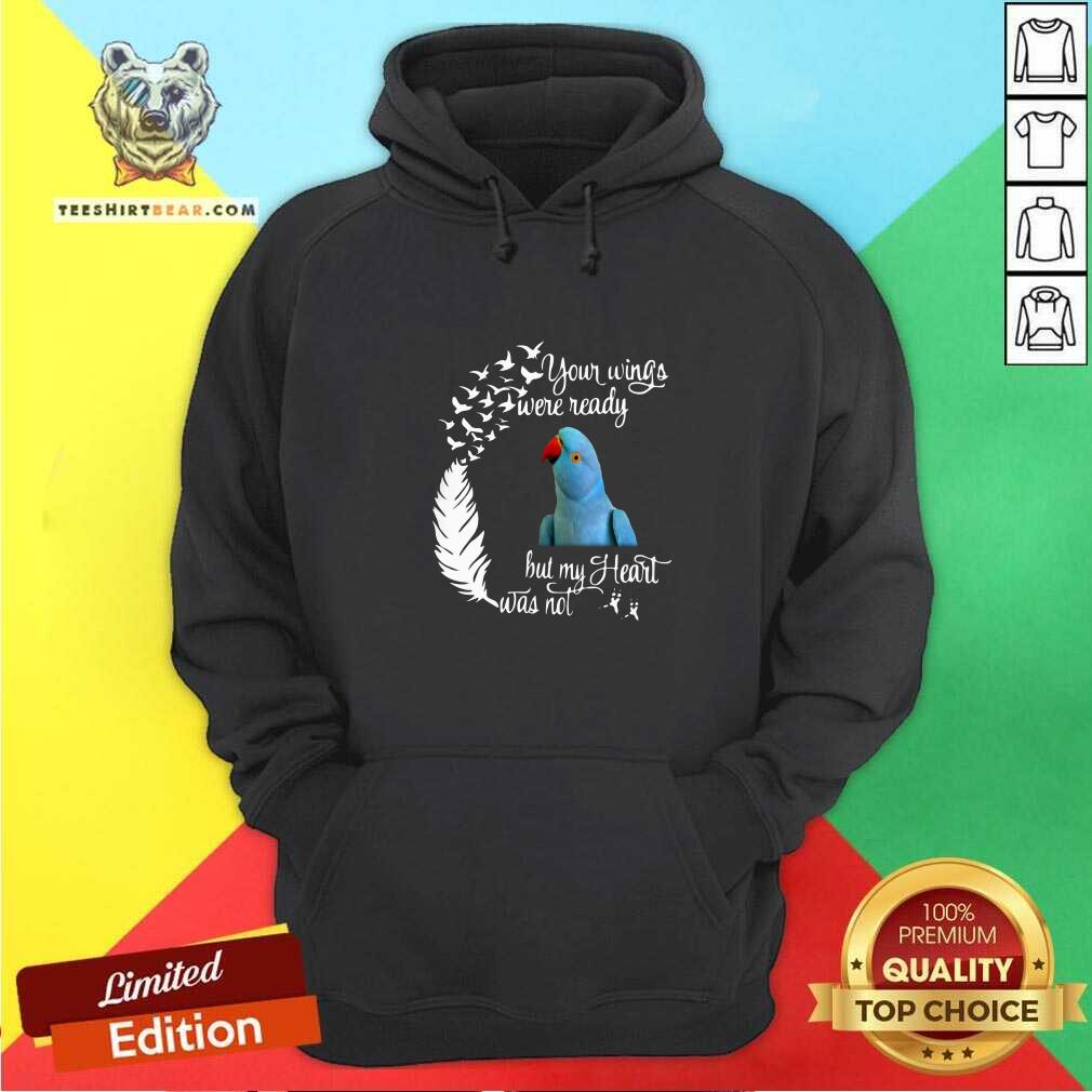 funny-indian-lorikeet-your-wings-were-ready-but-my-heart-was-not-hoodie.jpg