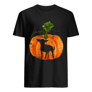 Nice Chihuahua In Pumpkin Funny Halloween Dog Lovers Gift Shirt