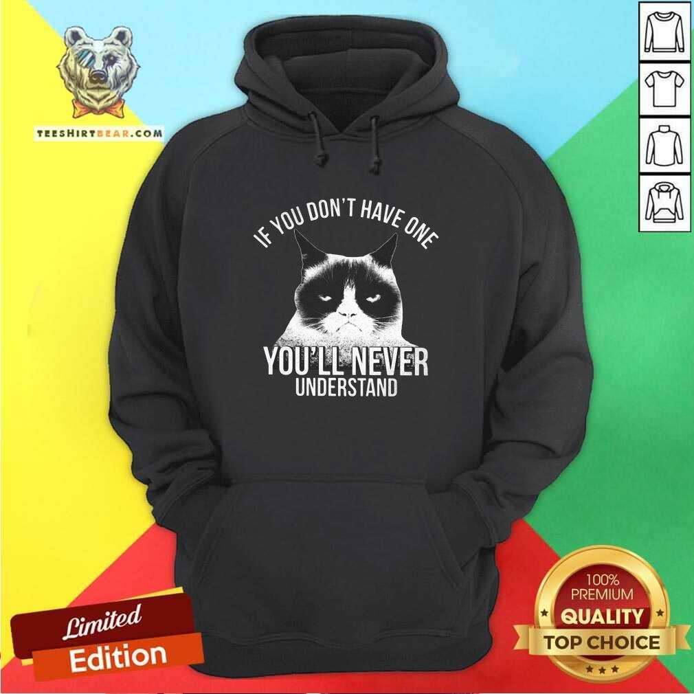Hot If You Do Not Have One You Will Never Understand Cat Shirt