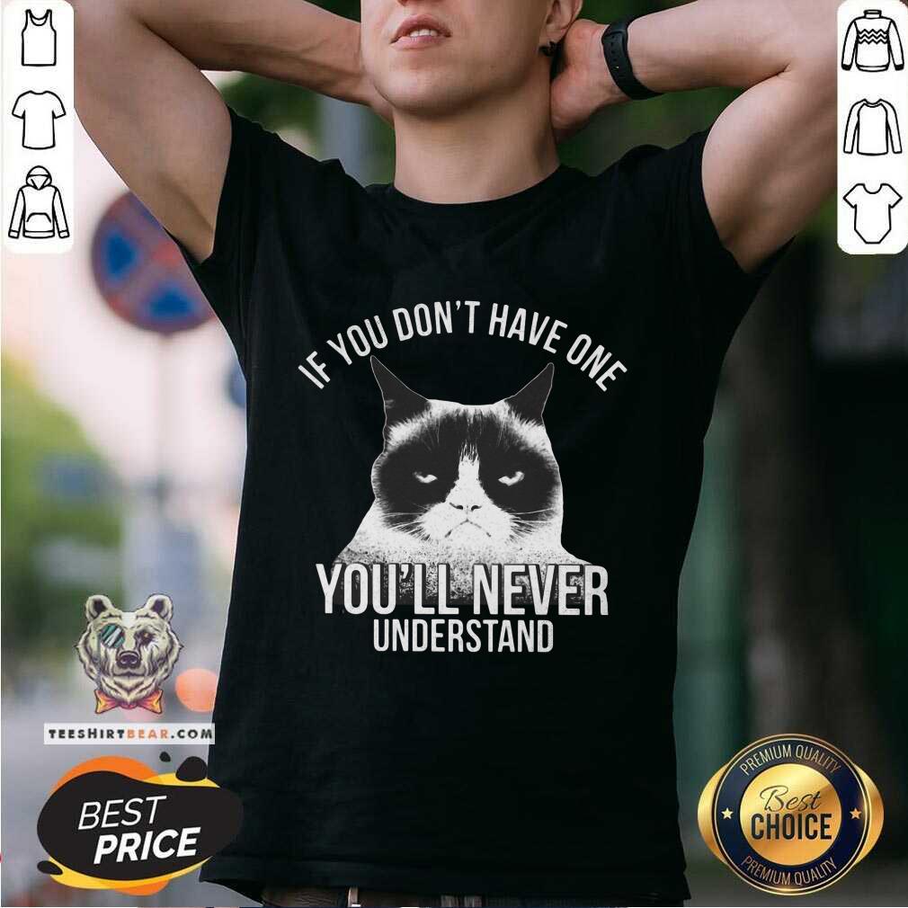 Hot If You Do Not Have One You Will Never Understand Cat Shirt