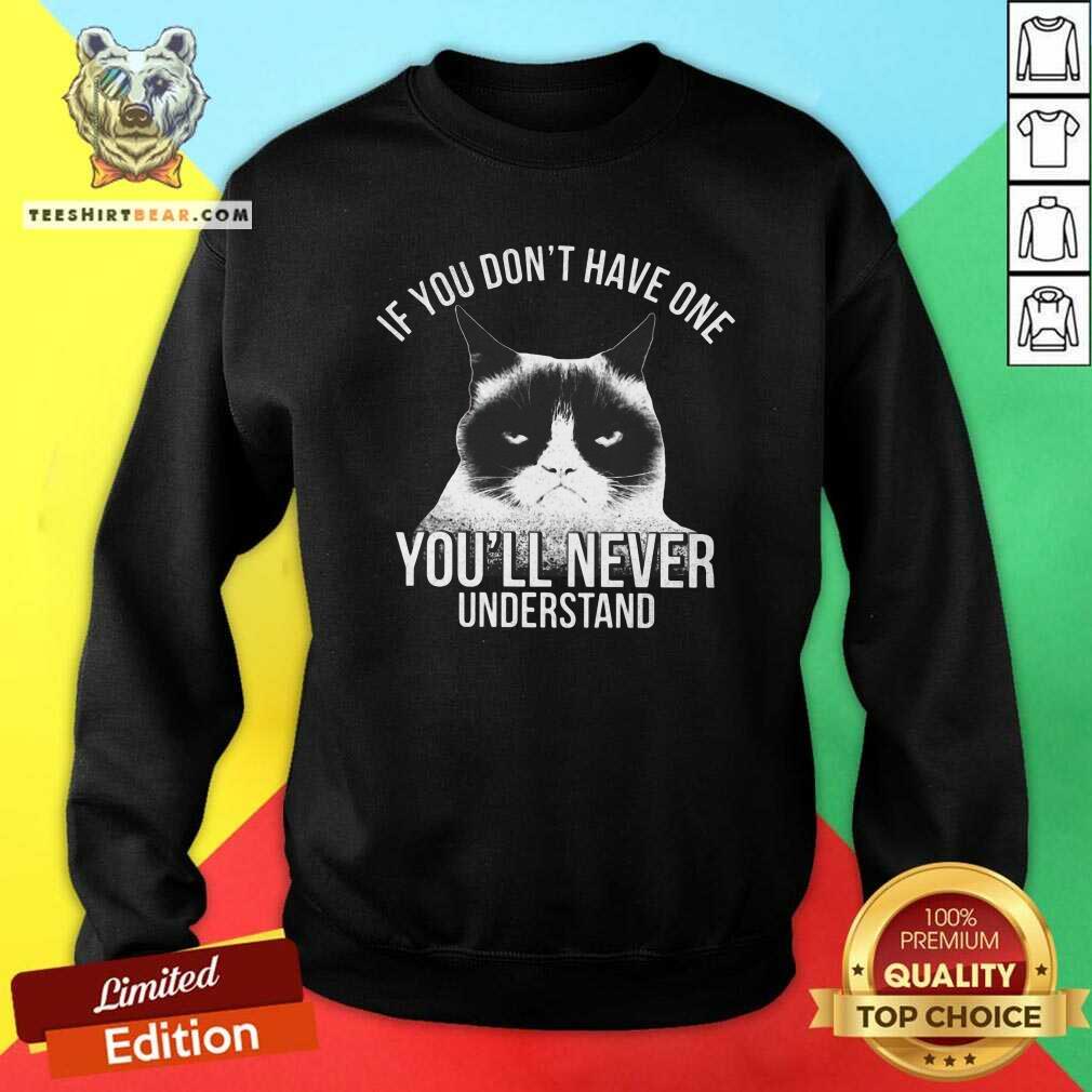 Hot If You Do Not Have One You Will Never Understand Cat Shirt