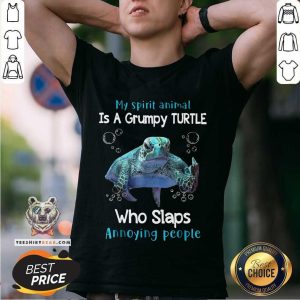 Premium My Spirit Animal Is A Grumpy Turtle Shirt