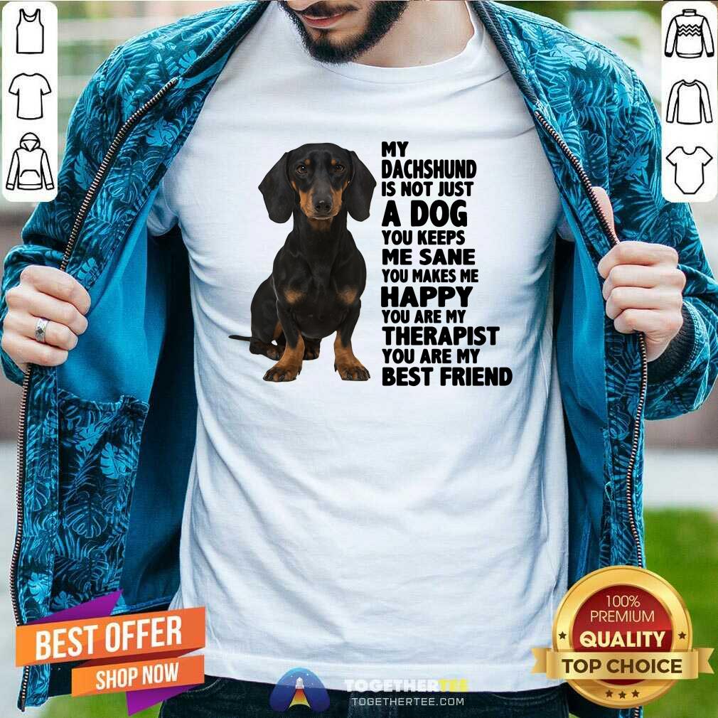 Lovely My Dachshund You Are My Therapist My Best Friends Shirt