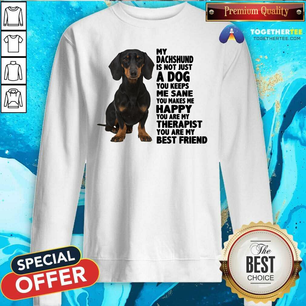 Lovely My Dachshund You Are My Therapist My Best Friends Shirt