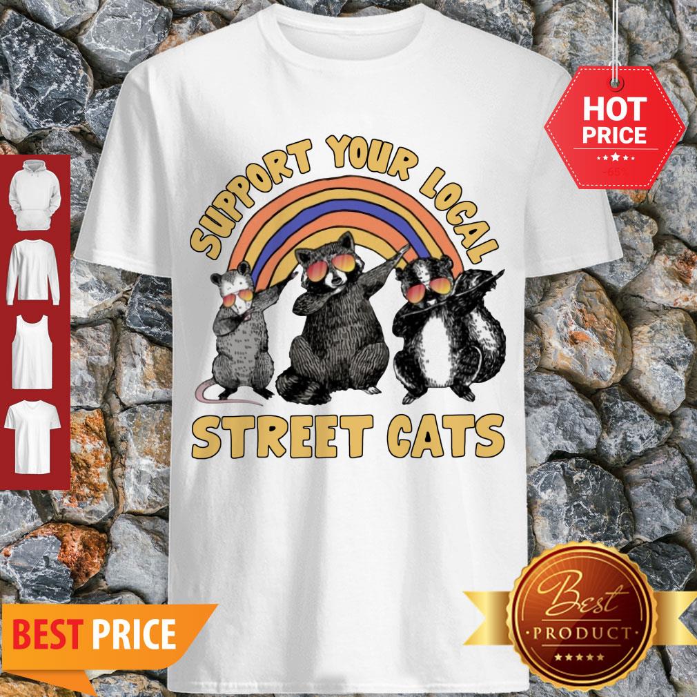 Nice Dabbing Raccoon Support Your Local Street Cats Shirt