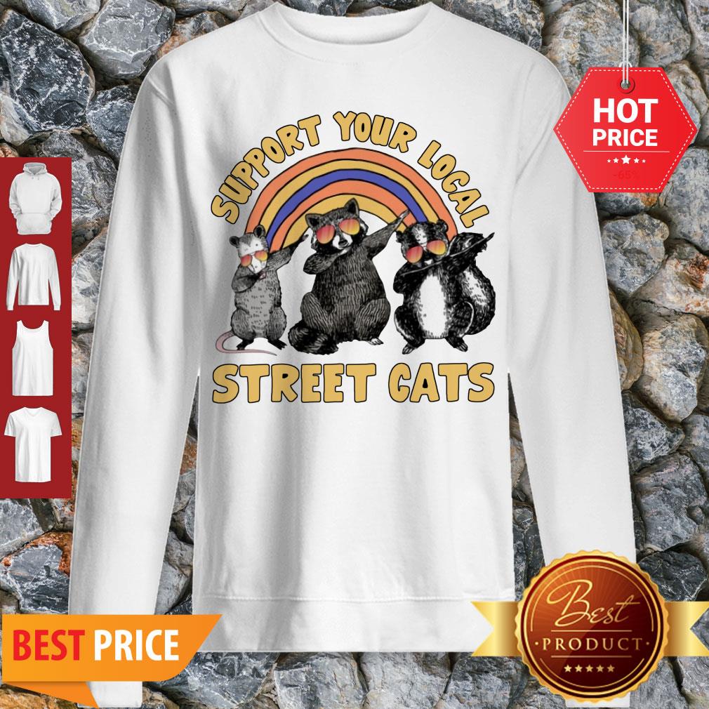 Nice Dabbing Raccoon Support Your Local Street Cats Shirt