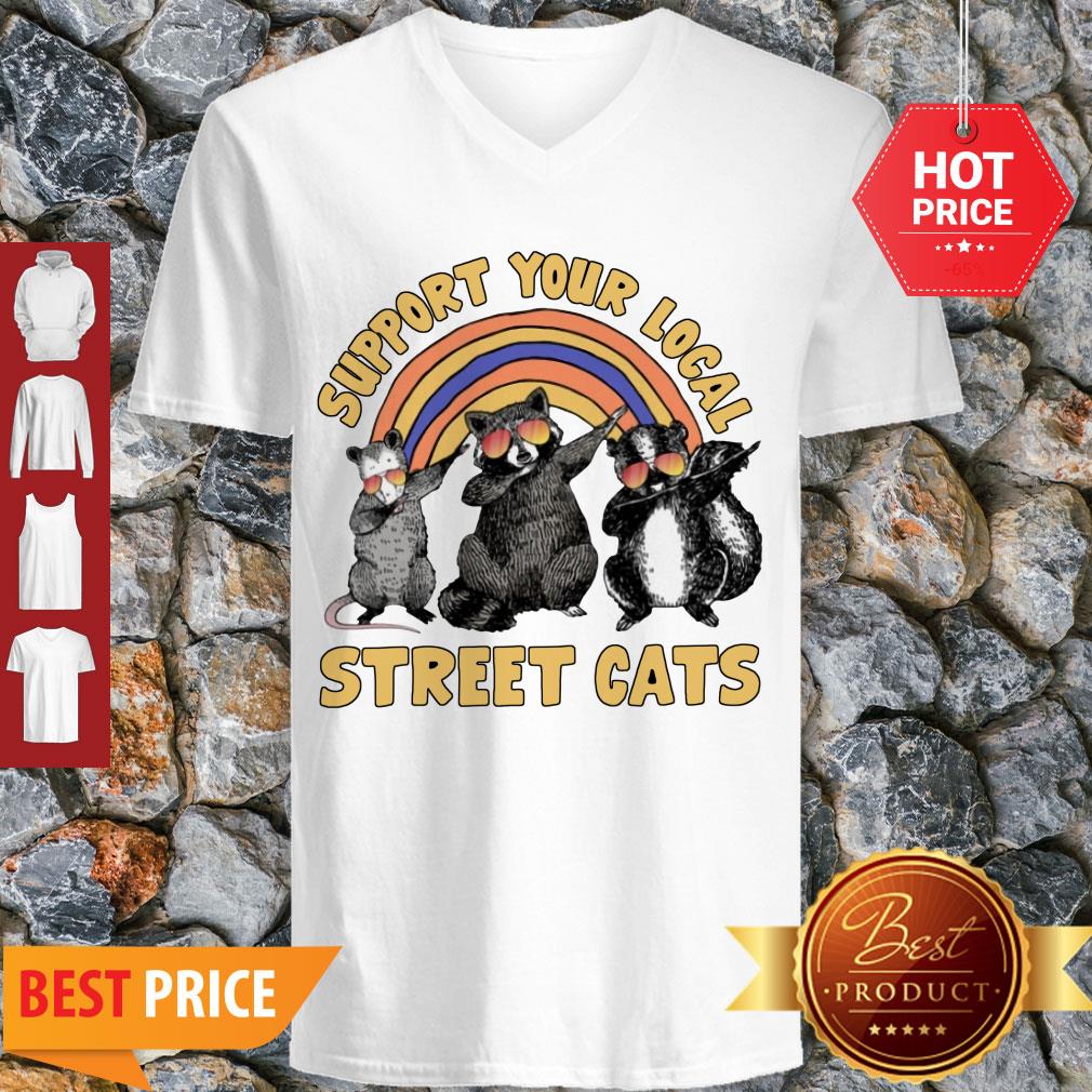 Nice Dabbing Raccoon Support Your Local Street Cats Shirt