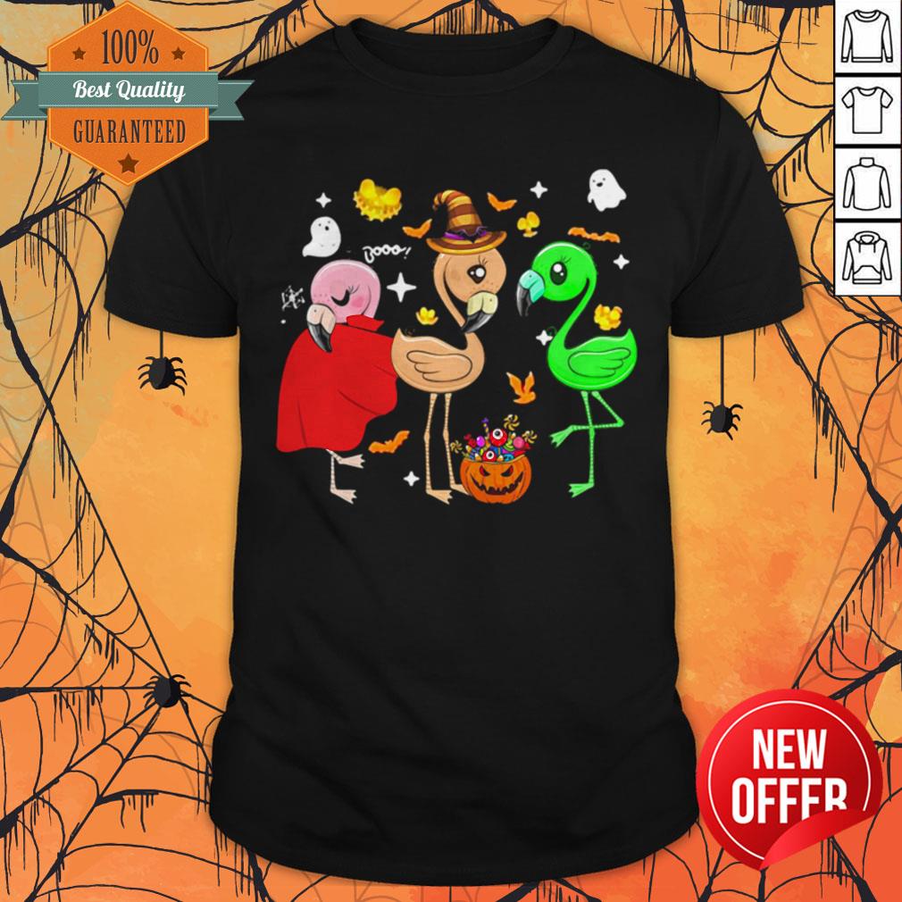 Nice Ghost Booo Flamingos Pumpkin Halloween Shirt