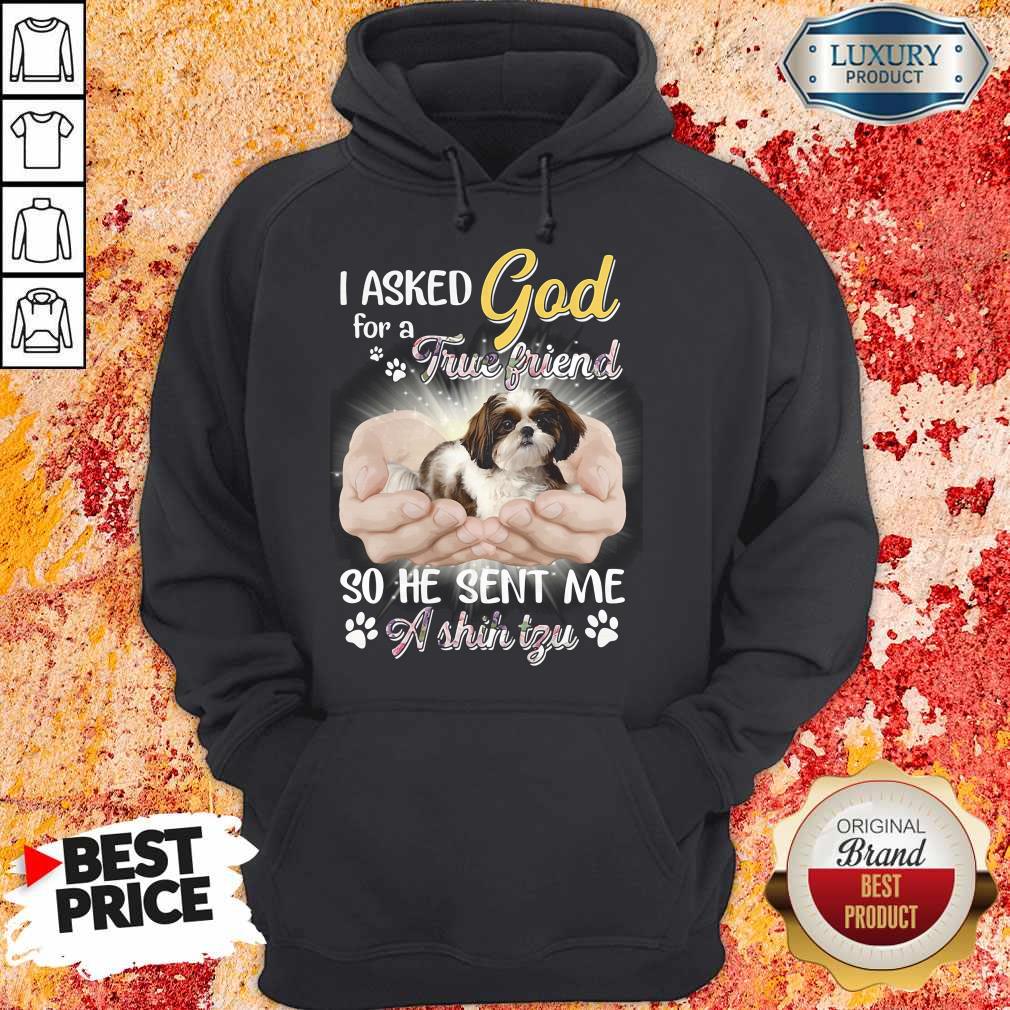 Nice I Asked God For A True Friend So He Sent Me A Shih Tzu Shirt