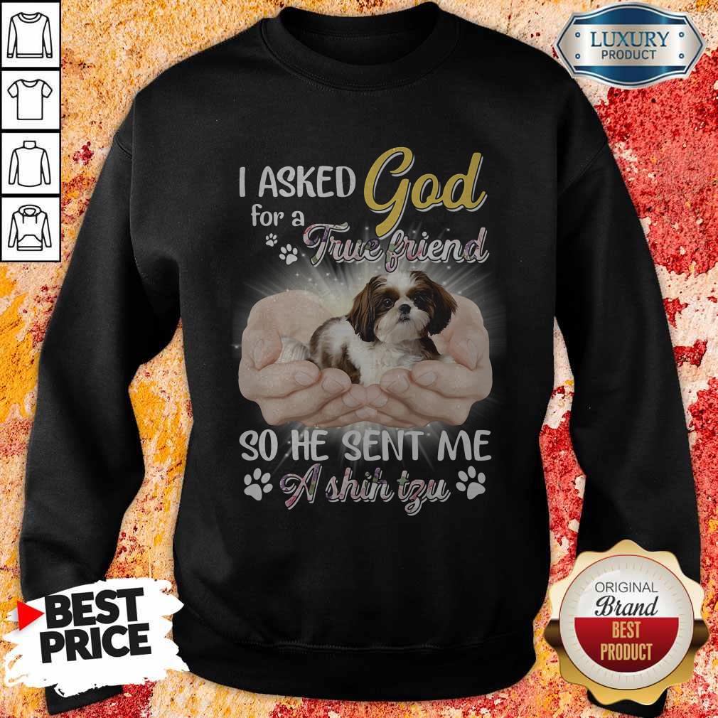 Nice I Asked God For A True Friend So He Sent Me A Shih Tzu Shirt