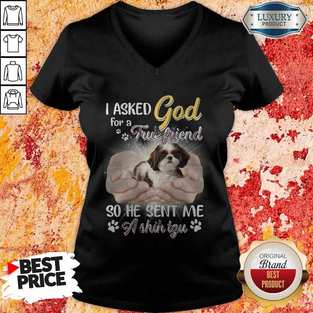 Nice I Asked God For A True Friend So He Sent Me A Shih Tzu Shirt