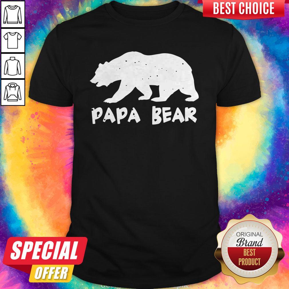 Nice Papa Bear Funny Matching Shirt