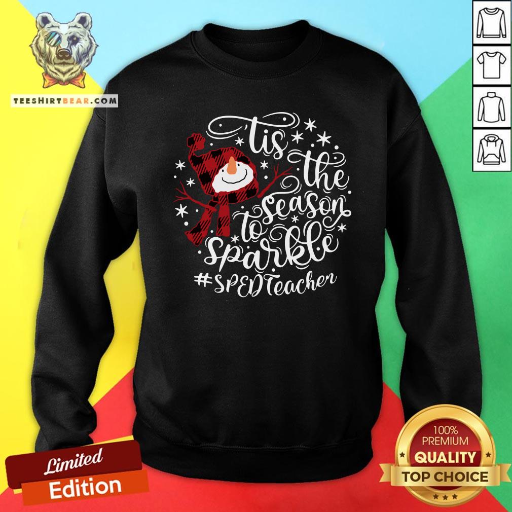 Perfect Tis The Season To Sparkle Special Education Teacher Shirt