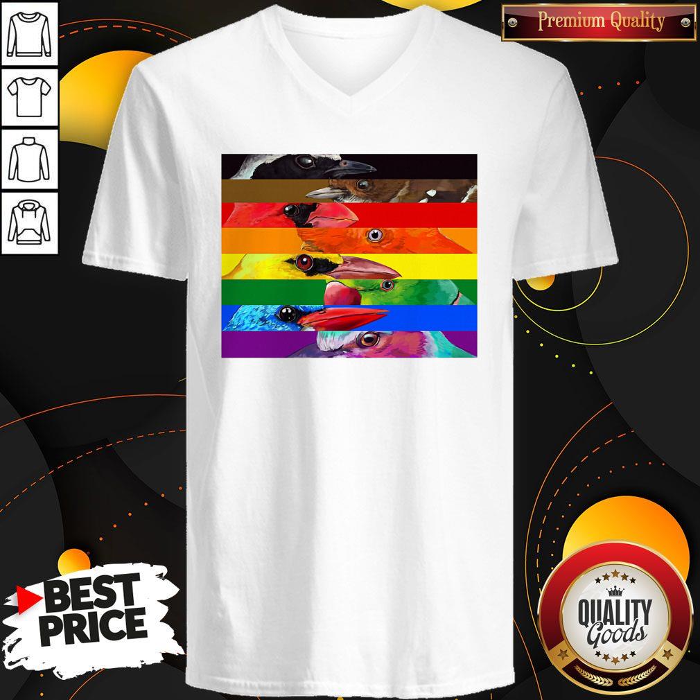 Premium Lgbtqia Pride Birds Shirt