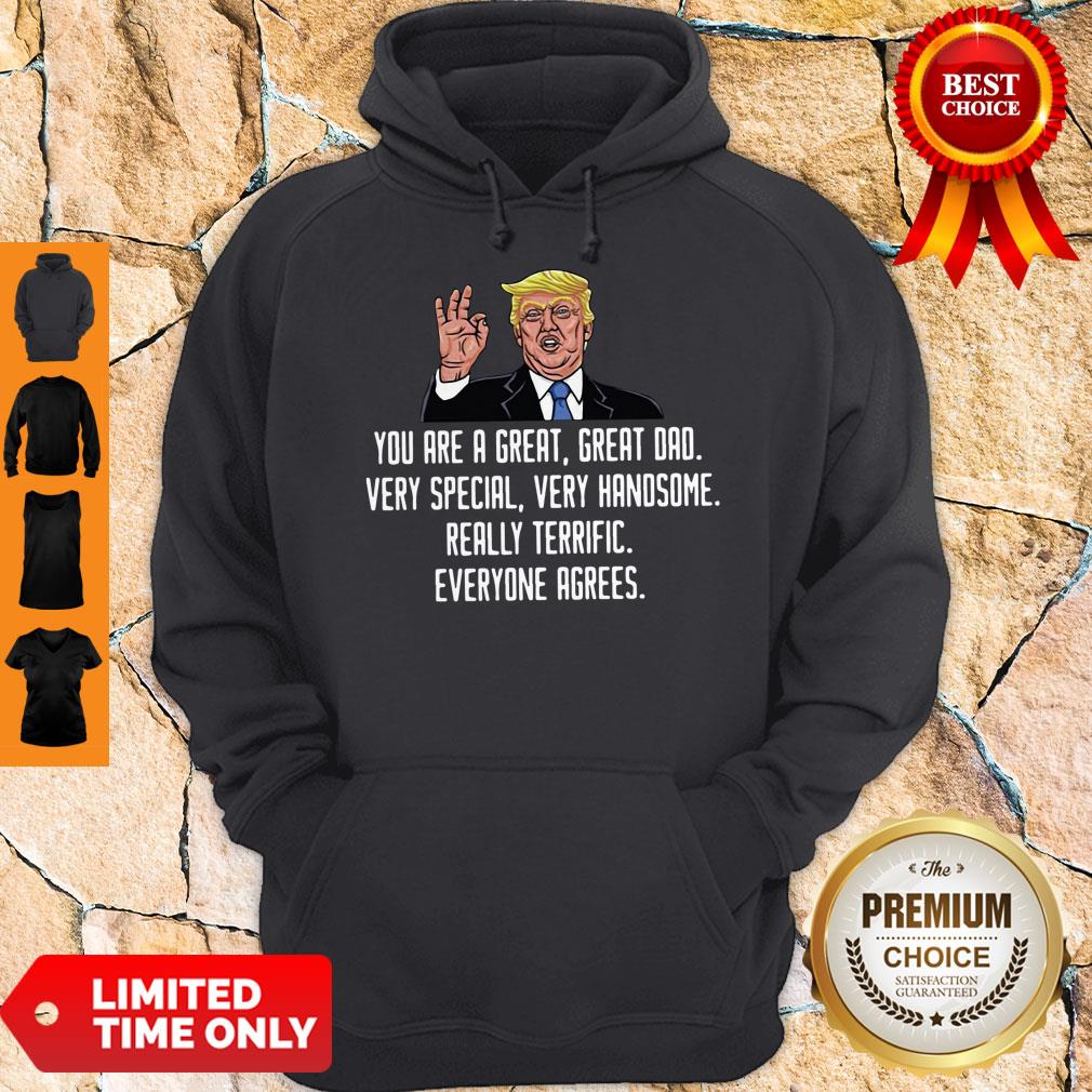 trump-you-are-a-great-great-dad-very-special-very-handsome-really-terrific-everyone-agrees-hoodie.jpg