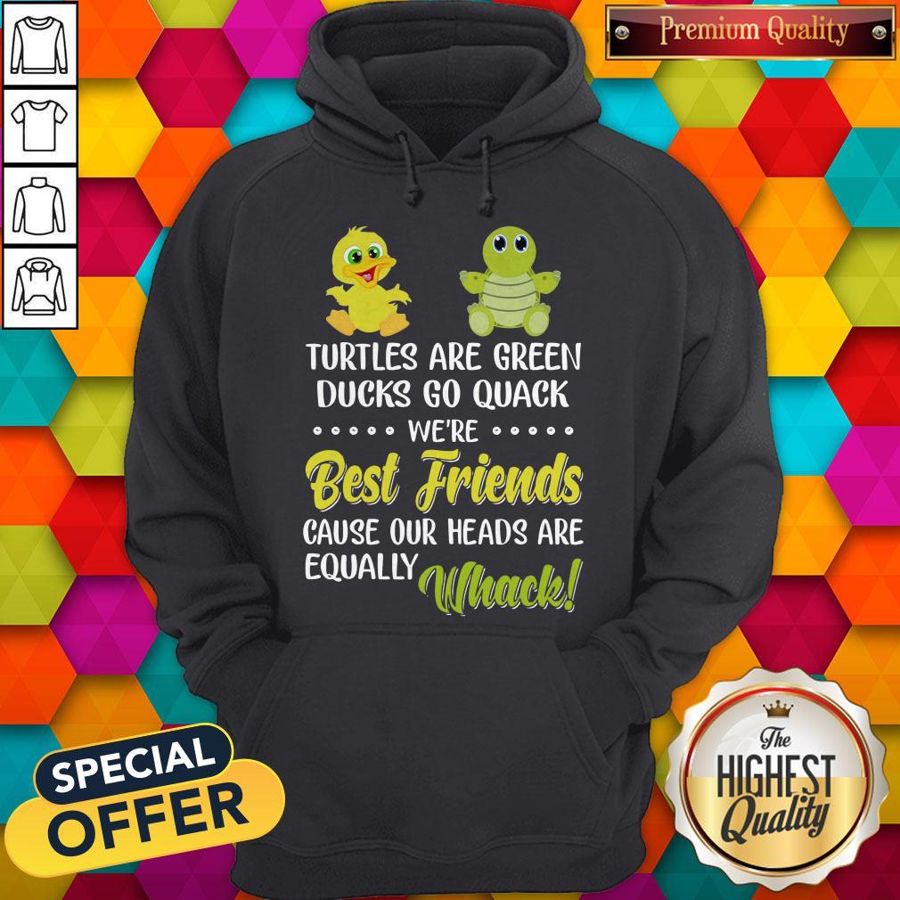turtles-are-green-ducks-go-quack-were-best-friends-because-our-heads-are-equally-whack-hoodie.jpg