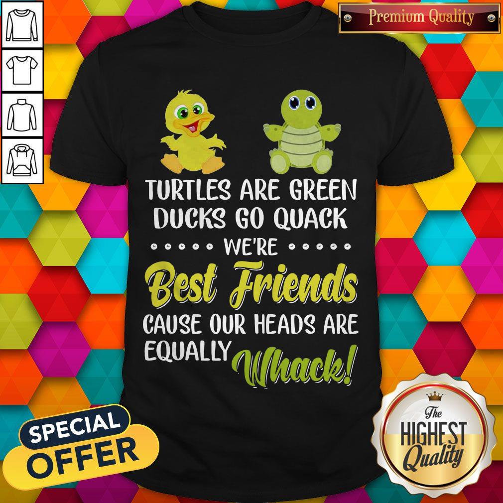 turtles-are-green-ducks-go-quack-were-best-friends-because-our-heads-are-equally-whack-shirt.jpg