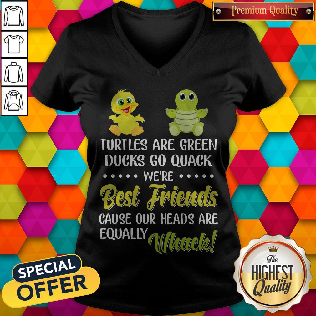turtles-are-green-ducks-go-quack-were-best-friends-because-our-heads-are-equally-whack-v-neck.jpg
