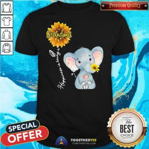 Perfect Grandma Happiness Is Being A Sunshine Flower Shirt