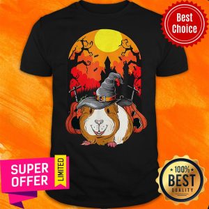 Premium Guinea Pig Witch Pumpkin Halloween Shirt