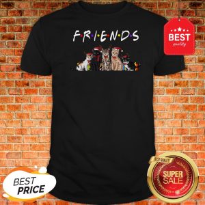 Official Christmas Best Friends Cat Shirt