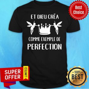 Funny Ei Dieu Crea Comme Exemple De Perfection Shirt