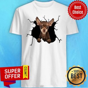 Nice I Love Chihuahua Shirt