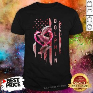 Awesome Dolphin Flag Ladies Shirt