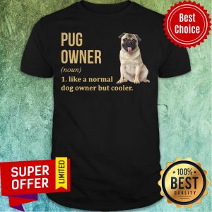 Pug Dog Owner Like A Normal Dog But Cooler Shirt